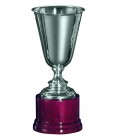 Premiazione Coppa 453 conica in Argento
