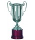 Coppa in Argento con Manici