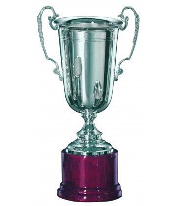 Coppa con manici in Argento 401
