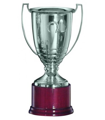 Coppa in Argento con manici