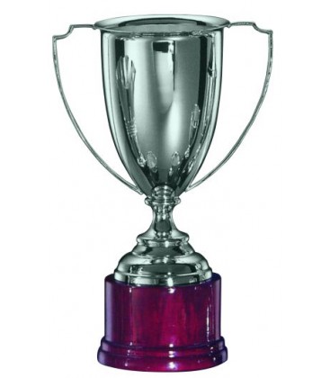 Coppa con manici in Argento