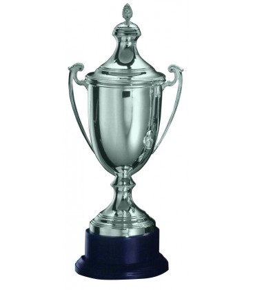 Trofeo in Argento 