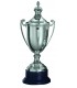 Trofeo in Argento 