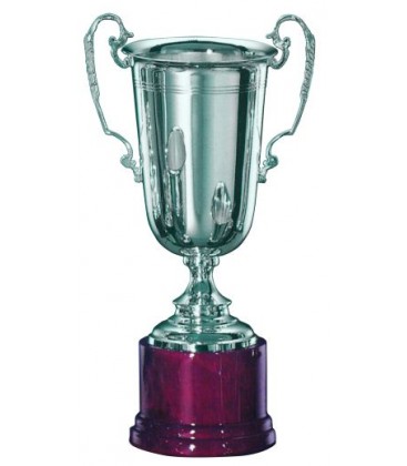 Coppa in Argento con Manici