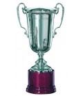 Premiazione Coppa 401 con manici