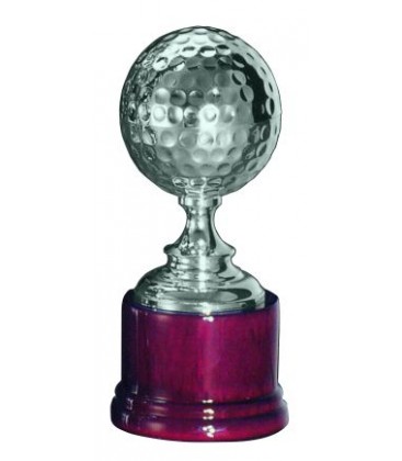 Coppa in Argento