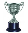 Premiazione Coppa 454 con manici in Argento