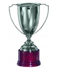 Premiazione Coppe 459 con manici in Argento