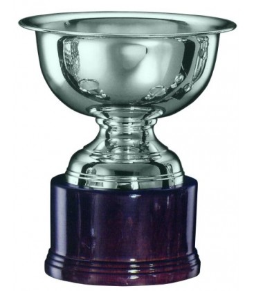 Trofeo in Argento