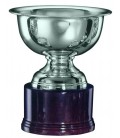 Trofeo in Argento