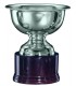 Trofeo in Argento