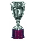 Coppa 432 Argento senza manici