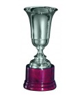 Premiazione Coppe 460 in Argento