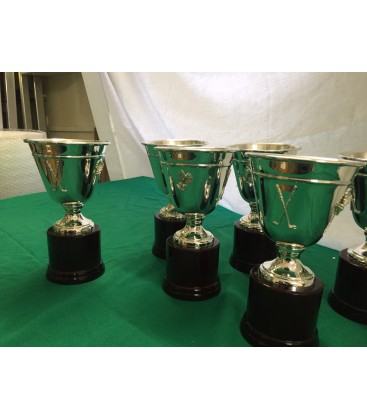 Coppa 413 in Argento Conica