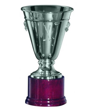 Coppa in Argento Conica