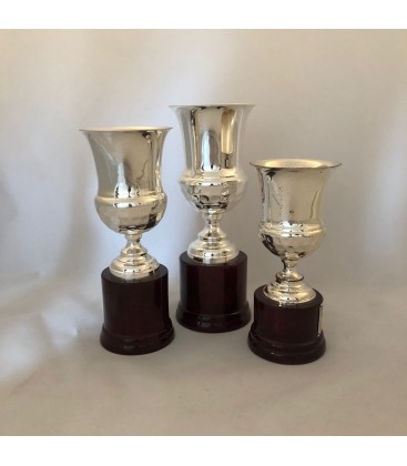 Premiazione in Argento Coppa 450
