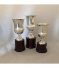 Premiazione 450 coppe in Argento