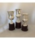 Premiazione in Argento Coppa 450