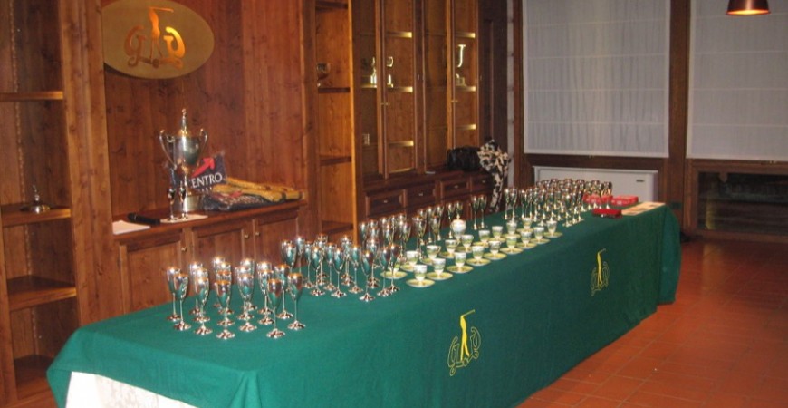 Sfoglia la gallery
